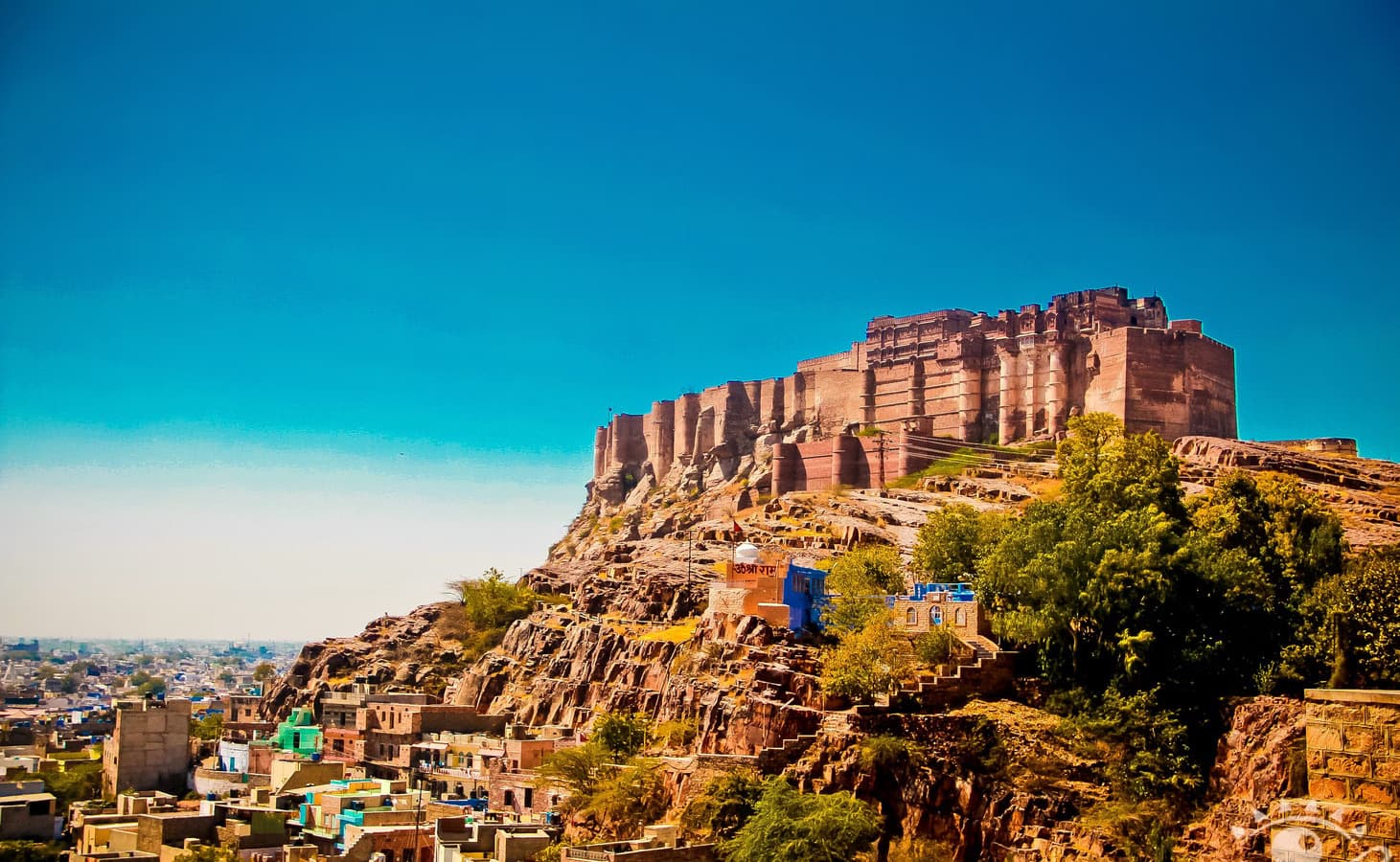 Mehrangarh Fort, a walk through Jodhpur's blue city, and a jeep safari to the Bishnoi tribal villages