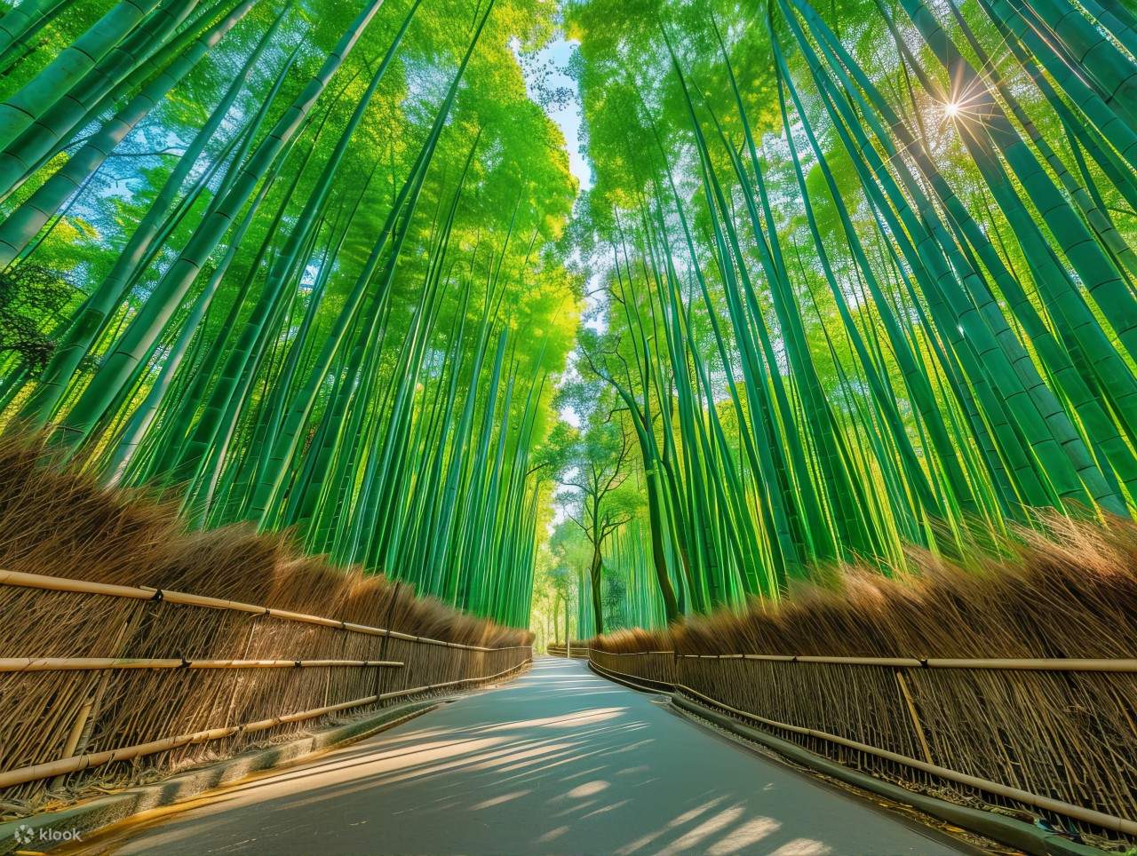 The towering bamboo grove of Arashiyama and the chirping nightingale floors of Nijo Castle