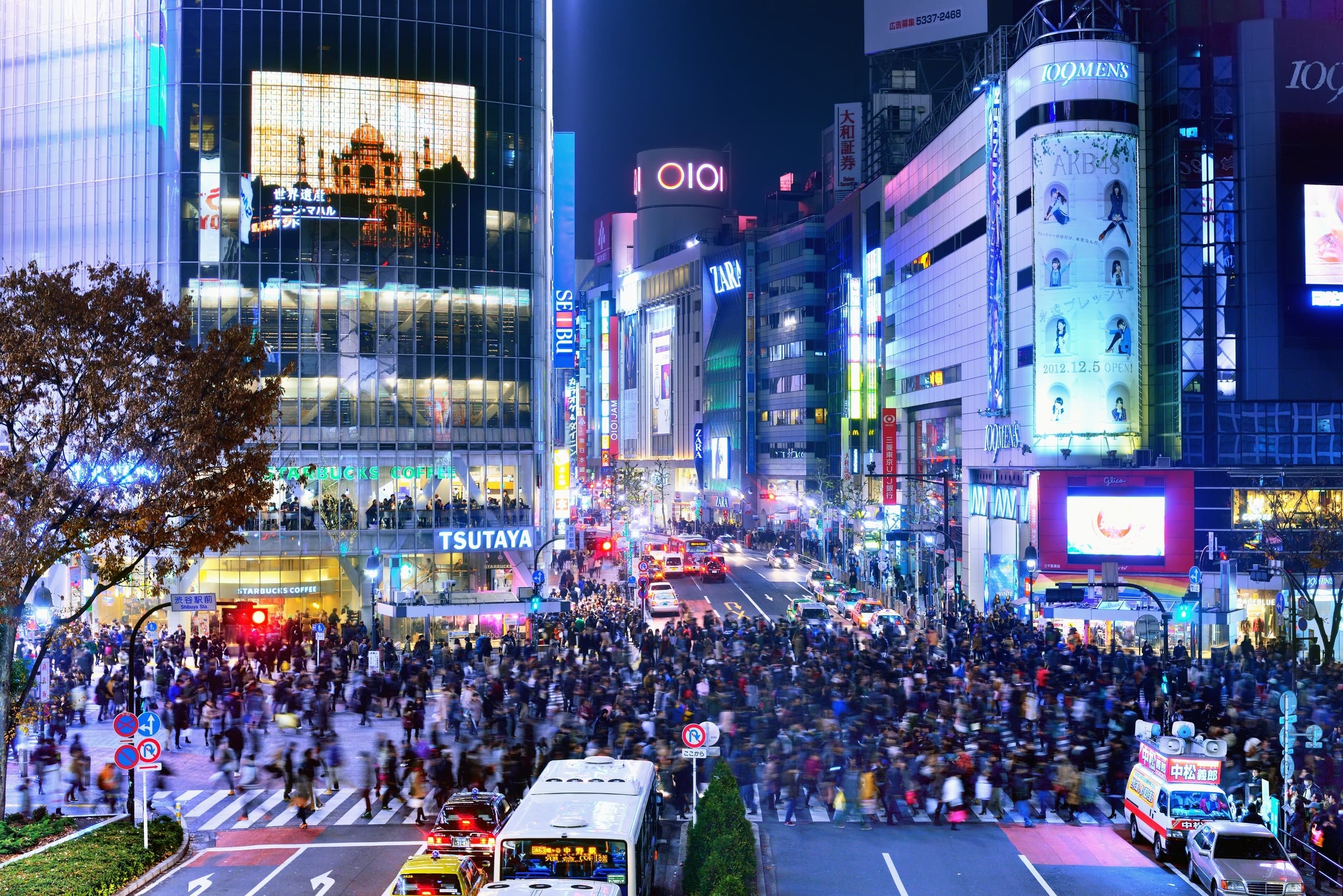 Tokyo in full: the Senso-ji Temple, the Shibuya crossing, the teamLab digital art museum, and a farewell cruise on Tokyo Bay
