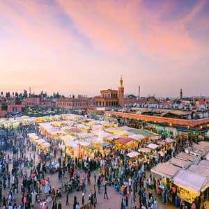 Marrakech in full color: Jemaa el-Fna square, the Bahia Palace, the Majorelle Garden, and the YSL Museum
