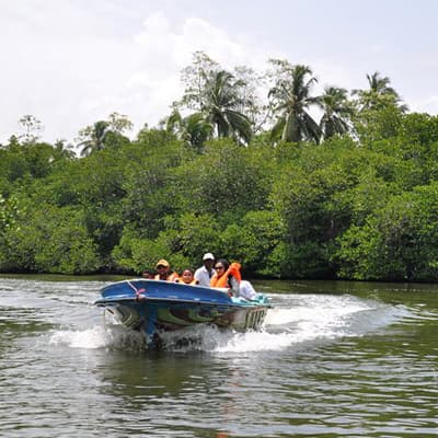 Galle Fort, sea turtles, and a boat ride through the Madu River mangroves