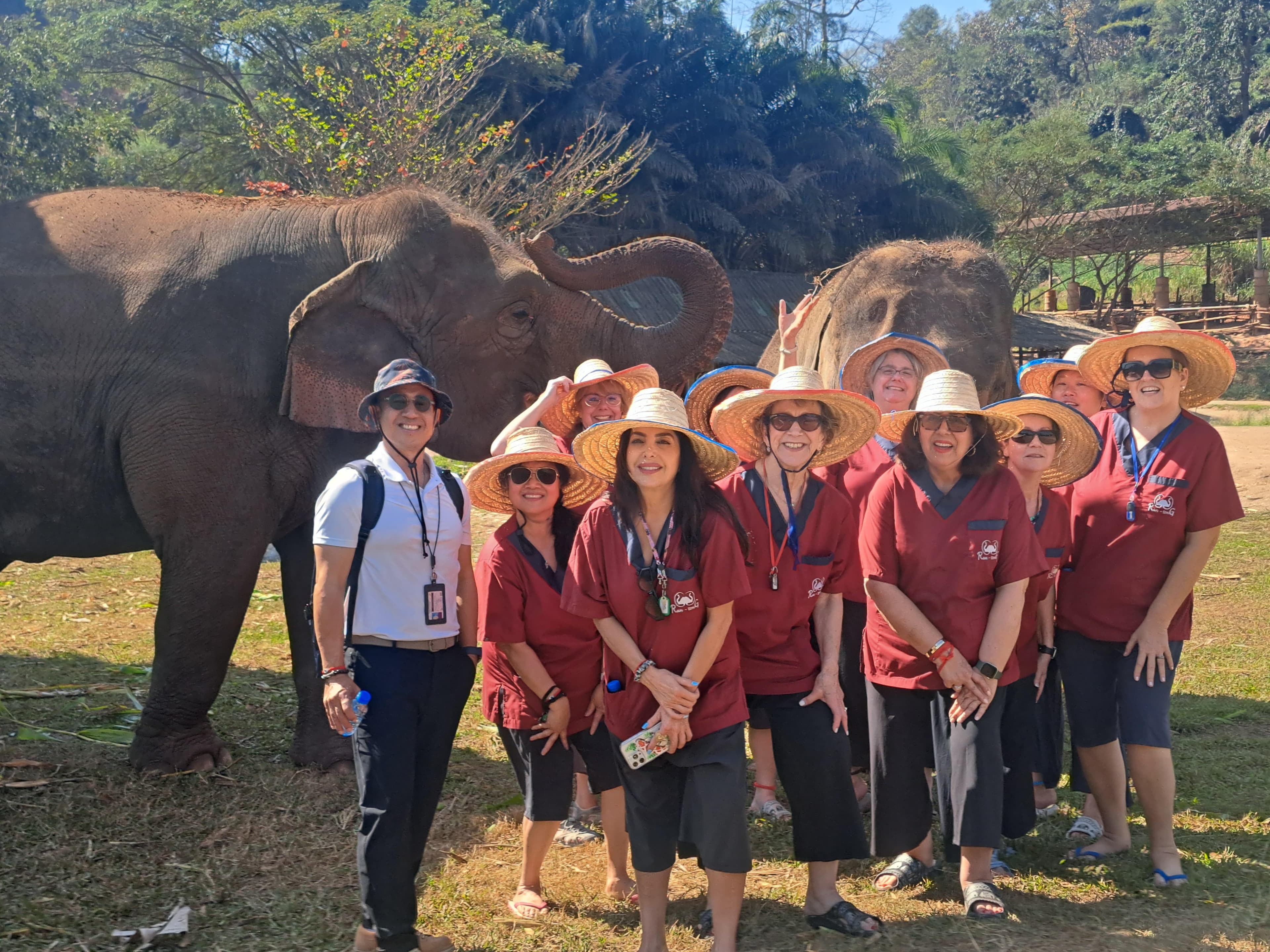 A morning feeding and bathing rescued elephants, and cooking dinner with a Lanna family in their teak home